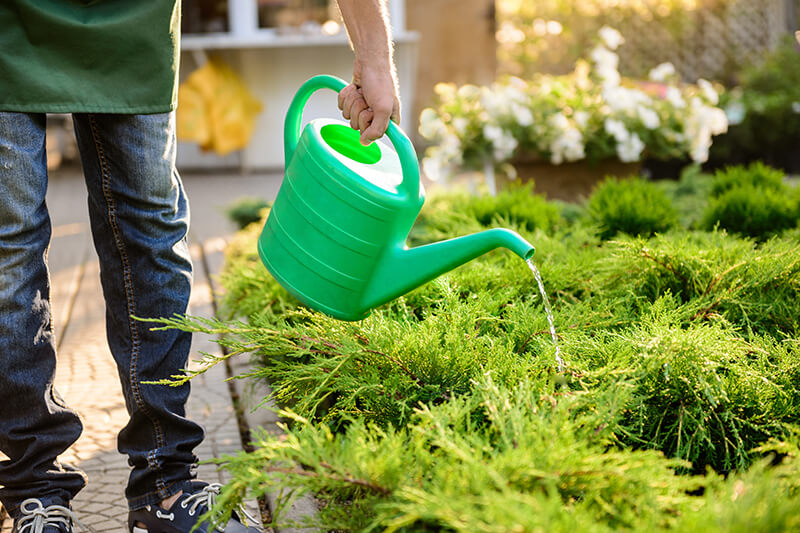 Grünpflege Düsseldorf – Garten & Außenanlagenpflege